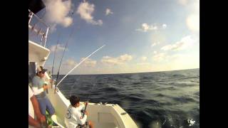preview picture of video 'Deep Sea Fishing Cancun, Sailfish Isla Mujeres, MX'