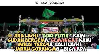 Download lagu Story WA | Turi Putih - Habib Syekh Bin Abdul Qodir Assegaf mp3