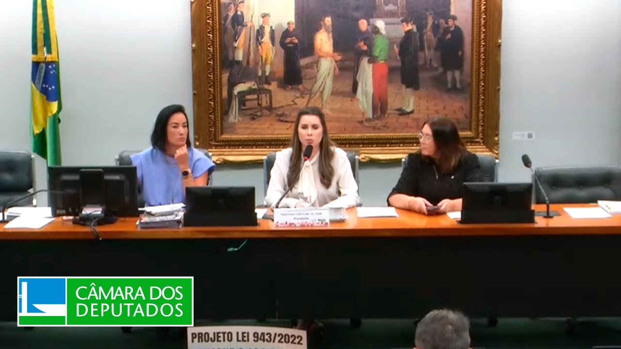 Constituição e Justiça e de Cidadania - Discussão e votação de propostas - 29/10/2024