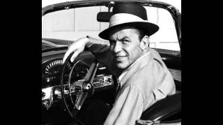 American Beauty Rose1-Large