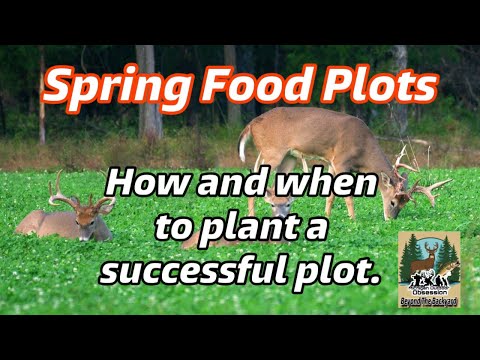 SPRING FOOD PLOTS: HOW AND WHEN TO PLANT A SUCCESSFUL PLOT!!