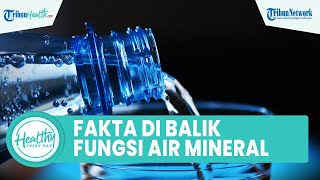 Fakta Unik di Balik Manfaat Air Mineral yang Tak Hanya Menghidrasi Tubuh, dari Kandungan Magnesium