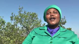 Download lagu UMLANGENI ft ZAMA ft KUKHANYOKUSHA Zion Church- Mbekelweni mp3