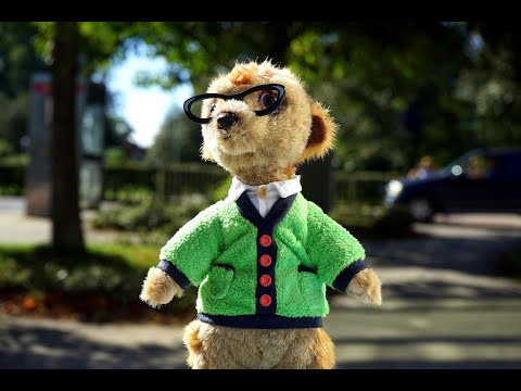 Meerkats' Mob Rule  and Magic Meerkat Moments