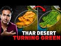 India S Insane Plan To Convert THAR DESERT Into GREEN FOREST