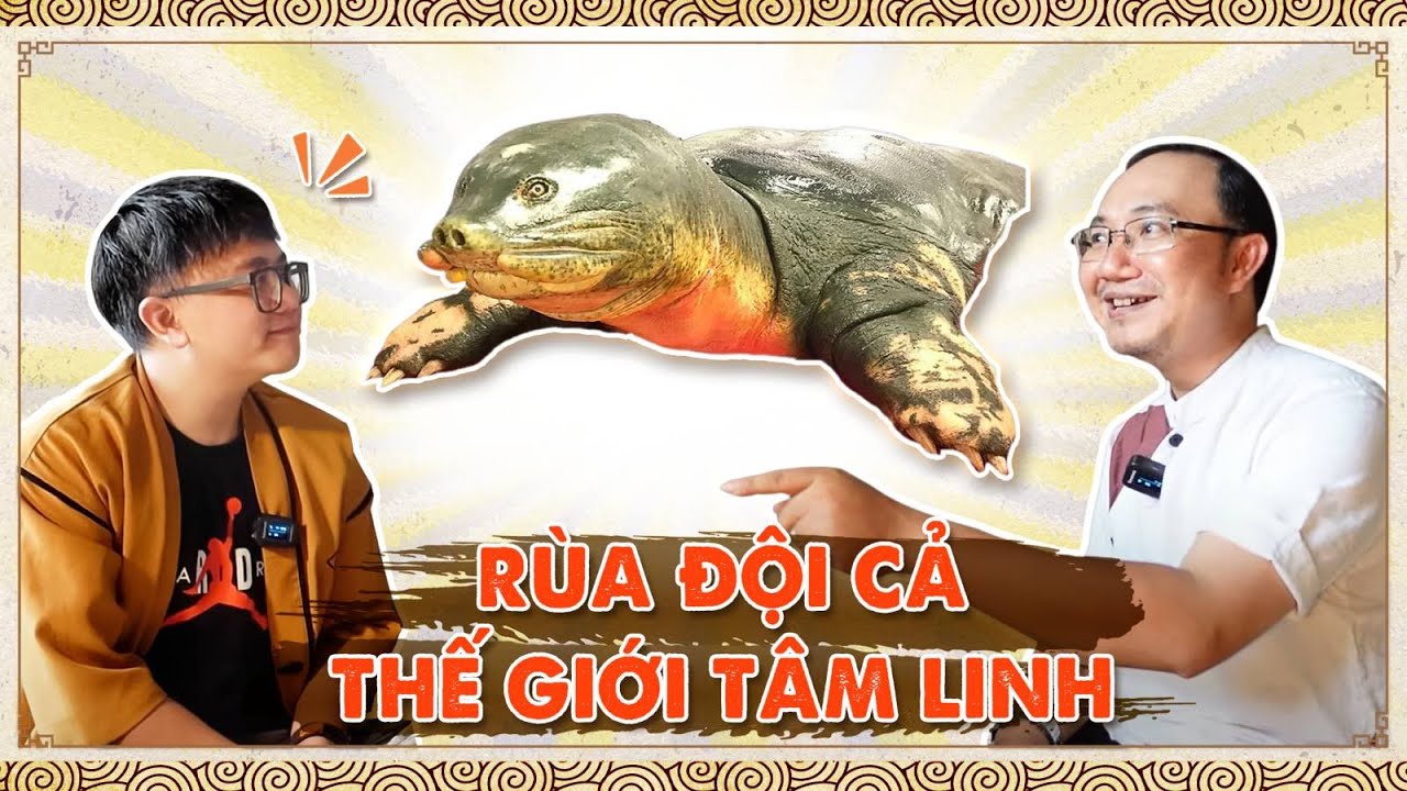 Vì Sao Rùa lên đình đội Hạc - vào chùa thì đội Bia???