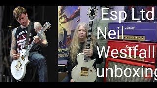 Video thumbnail for ESP Ltd NW 44 Neil Westfall unboxing demo. A DAY TO REMEMEBER by Guitar Safari