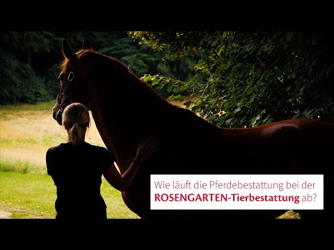 ROSENGARTEN-Tierbestattung Erding YouTube-Vdeominiatur 13