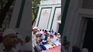 Download lagu Jasan e shaikh e deccan ra Gulbarga #junaidi #ashfaquddin #tajbaba #tajuddin #shaikh_roza #peer mp3