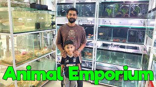 Animal Emporium New Aquarium & Pet Accesories Store 