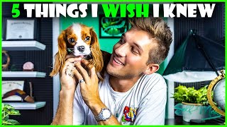 5 THINGS I WISH I KNEW - Before Getting a Cavalier King Charles Spaniel