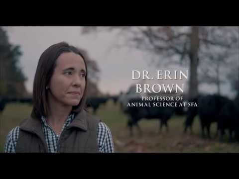 SFA:  Professor Erin Brown Directors Cut