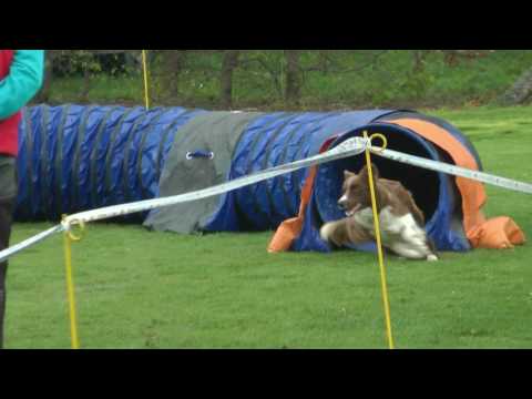Agility Zlechov 22 4 2017 trojzkoušky A2