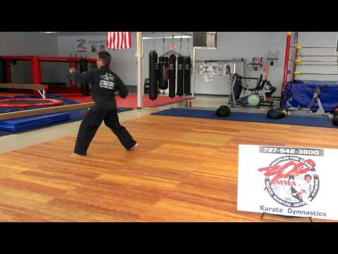 Tae Kwon Do Form 2 Dan- Gun