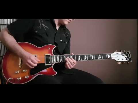 Flor D'Luna (Moonflower) - Santana cover by Xavier
