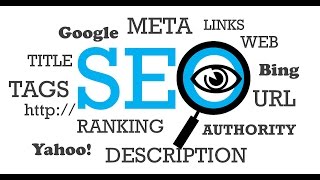 preview picture of video 'Best Palm Coast SEO Services | Call Today (877) 228-2745'