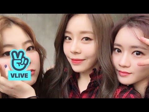[171014 LADIES' CODE VLIVE] 레이디스 코드와 Tea Time!☕