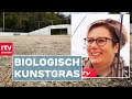 Wereldprimeur: eerste biologisch afbreekbare kunstgrasveld | RTV Drenthe