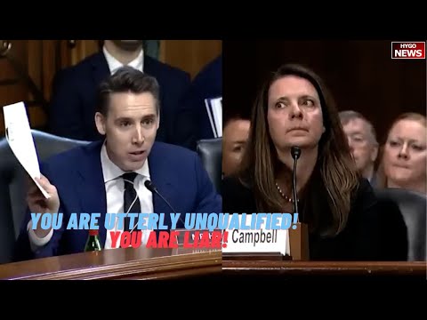 Hawley To Biden Nominee: You are utterly unqualified! Either all these people are liars or you are!