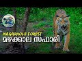 മഴക്കാലത്തെ കാട് Kabini Forest Safari In Monsoon Nagarhole National Pa