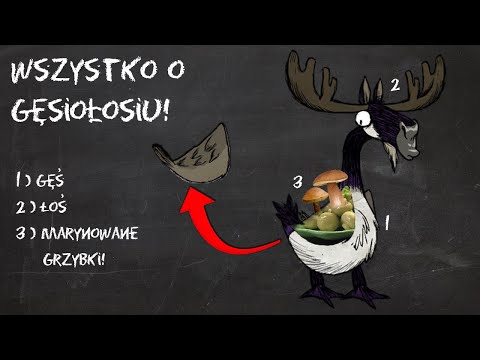 Wszystko o GĘSIOŁOSIU!