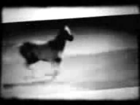 ThunderPony at UP teaser promo vid