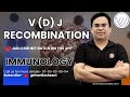 How Your Body Makes New Antibodies V D J Recombination
