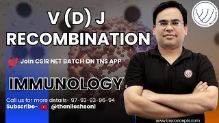 How Your Body Makes New Antibodies (V(D)J Recombination)