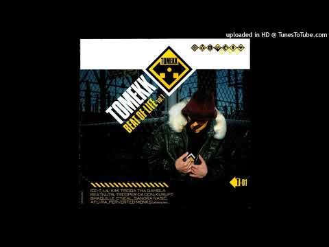 DJ Tomekk- 12 Du Ft Spontan