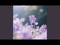 Lilac Love (Remastered 2026)