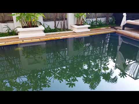 Swimming In Green Pool Water