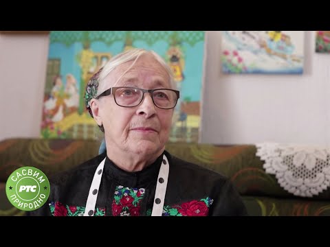 Sasvim prirodno: Seoski umetnici, drugi deo (Jovan Memedović)