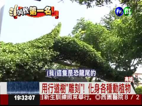 街頭"藝術"! 行道樹化身花鳥動物