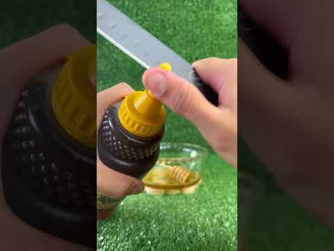 Vídeo Apicultura Borges