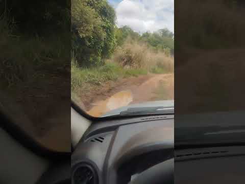 Chacrinha Pedacinho do Céu Piracanjuba GO