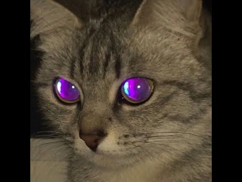 [FREE] *Guitar* Convolk x Juice WRLD Type Beat — "Frankly" (prod.tennis player)