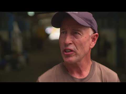 In A Twinkling Update