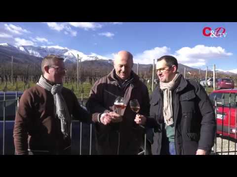 Nasce lo spumante rosè "Quindici"