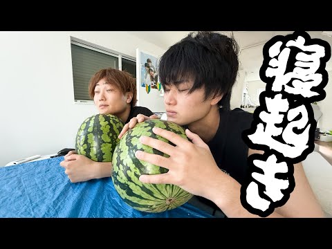 怪力兄弟に寝起きスイカ早食い対決させたら。。。