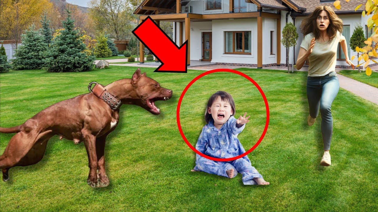 La madre dejó al niño solo con el perro. ENTONCES, OCURRE UNA TRAGEDIA Y ELLA QUEDA HORRORIZADA