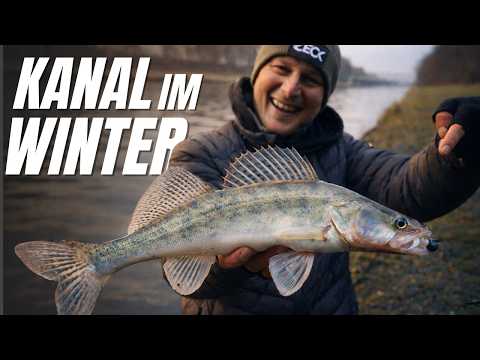 Zander fishing on the Mittelland Canal | You should know this trick!