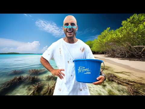 Live Bait Fishing For Barramundi - Day 5