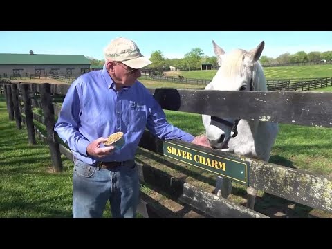Oldest living Kentucky Derby winner Silver Charm still shines at 30