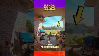 Demonstração de autoridade sobre seu pitbull 🐶👑 | Liderança real #cachorro #shorts #animais