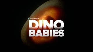 SUPER-CUTE VIDEO OF DINOSAUR BABIES!!!