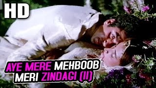Aye Mere Mehboob Meri Zindagi (II) | Shabbir Kumar, Salma Agha | Salma 1985 Songs | Raj Babbar