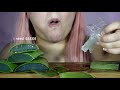 Pink Asmr Gags From Aloe Vera