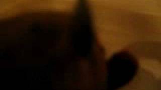 gay hamster parody funny spoof amazing !!!