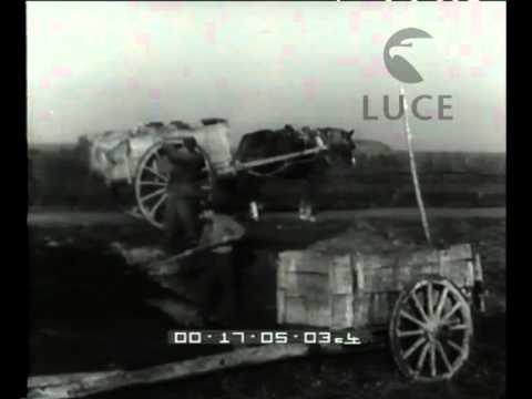 On the Occhiobello route.