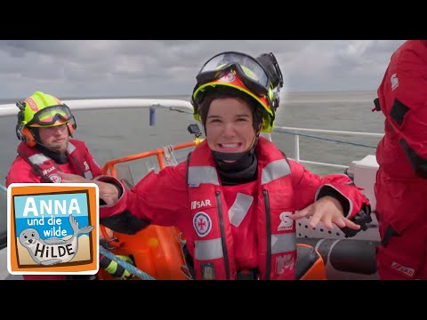 Seehunde in der Luft | Anna und die wilde HIlde | #3 von 5